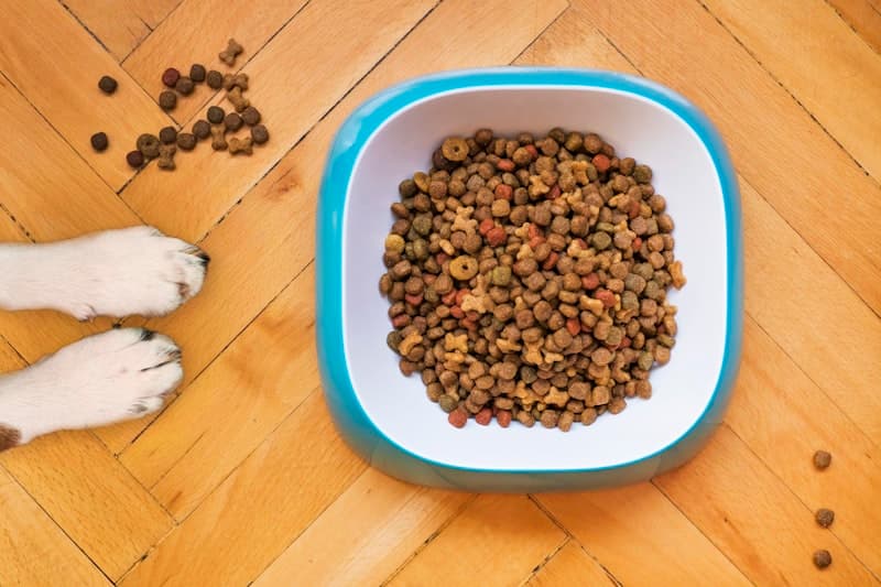 Freeze Dried Pet Food: Global Market Opportunities & Production Guide